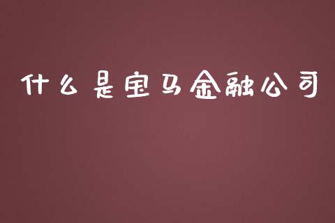 什么是宝马金融公司_https://wap.lcpcjs.com_全球经济_第1张