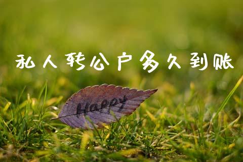私人转公户多久到账_https://wap.lcpcjs.com_股港行情_第1张