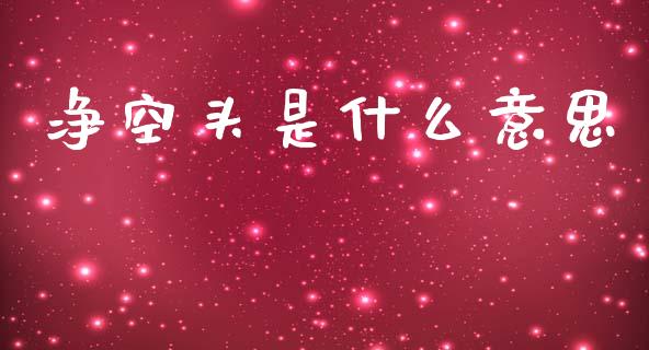 净空头是什么意思_https://wap.lcpcjs.com_美股行情_第1张