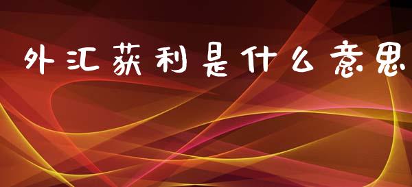 外汇获利是什么意思_https://wap.lcpcjs.com_美股行情_第1张