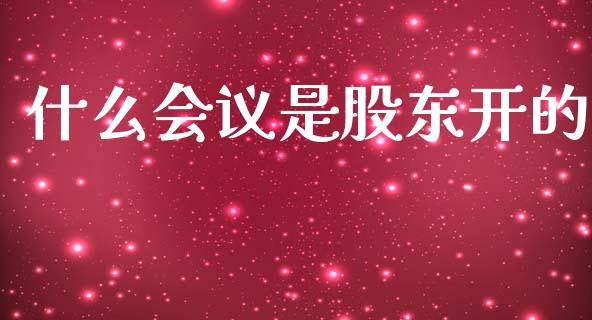 什么会议是股东开的_https://wap.lcpcjs.com_外汇市场_第1张