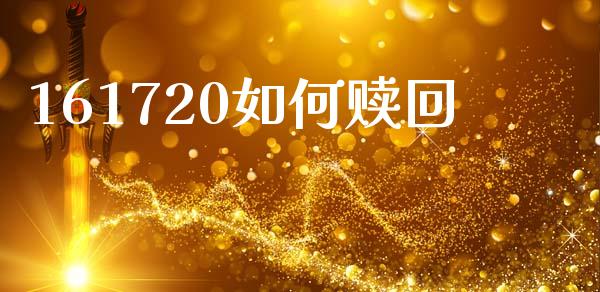 161720如何赎回_https://wap.lcpcjs.com_全球经济_第1张
