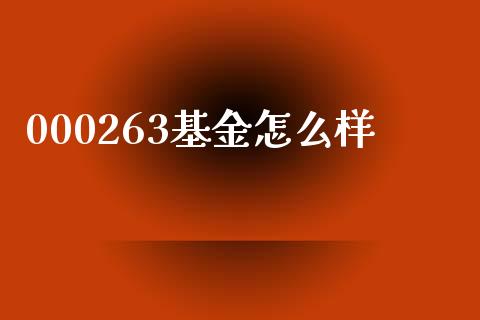 000263基金怎么样_https://wap.lcpcjs.com_全球经济_第1张