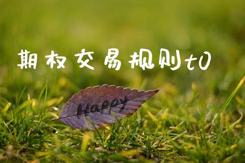 期权交易规则t0_https://wap.lcpcjs.com_外汇市场_第1张