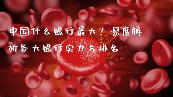 中国什么银行最大？深度解析各大银行实力与排名_https://wap.lcpcjs.com_全球经济_第1张