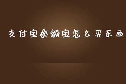 支付宝余额宝怎么买东西_https://wap.lcpcjs.com_外汇市场_第1张