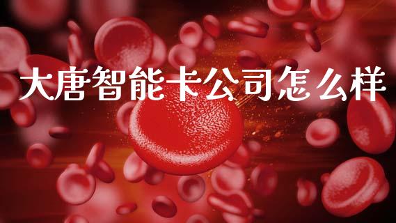 大唐智能卡公司怎么样_https://wap.lcpcjs.com_股港行情_第1张