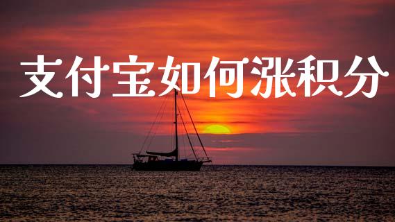 支付宝如何涨积分_https://wap.lcpcjs.com_美股行情_第1张