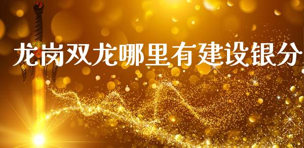 龙岗双龙哪里有建设银分_https://wap.lcpcjs.com_股港行情_第1张