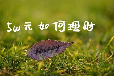 5w元如何理财_https://wap.lcpcjs.com_美股行情_第1张