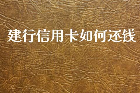建行信用卡如何还钱_https://wap.lcpcjs.com_外汇市场_第1张
