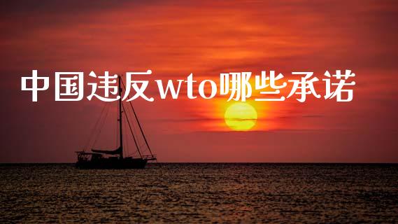 中国违反wto哪些承诺_https://wap.lcpcjs.com_外汇市场_第1张