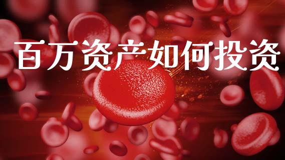 百万资产如何投资_https://wap.lcpcjs.com_外汇市场_第1张