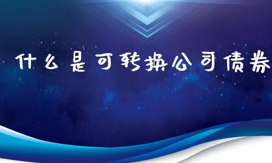 什么是可转换公司债券_https://wap.lcpcjs.com_全球经济_第1张