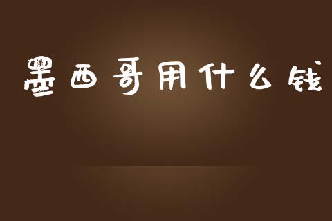 墨西哥用什么钱_https://wap.lcpcjs.com_外汇市场_第1张