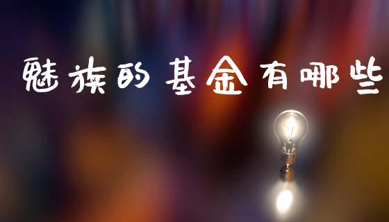 魅族的基金有哪些_https://wap.lcpcjs.com_外汇市场_第1张