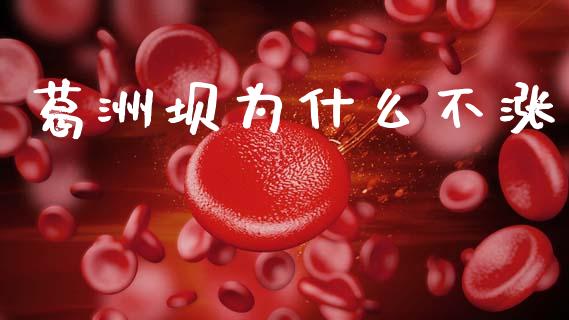 葛洲坝为什么不涨_https://wap.lcpcjs.com_全球经济_第1张