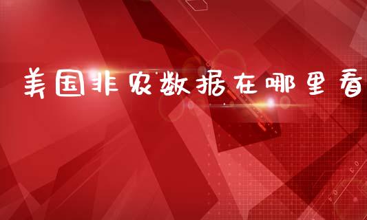 美国非农数据在哪里看_https://wap.lcpcjs.com_外汇市场_第1张