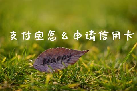 支付宝怎么申请信用卡_https://wap.lcpcjs.com_股港行情_第1张