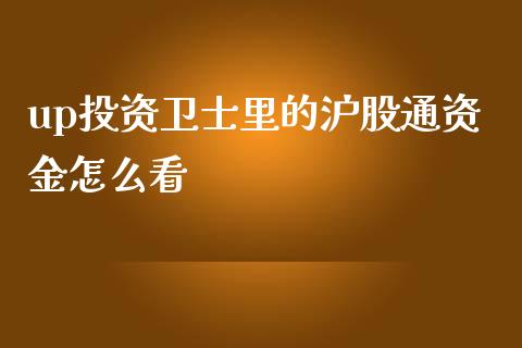 up投资卫士里的沪股通资金怎么看_https://wap.lcpcjs.com_全球经济_第1张