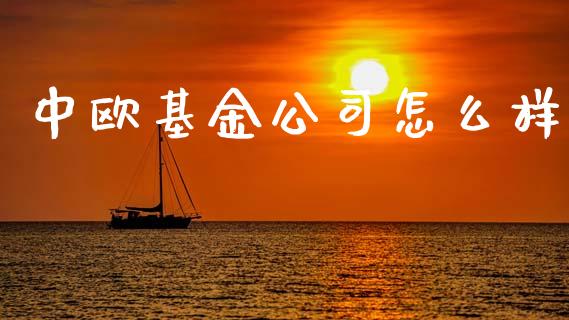 中欧基金公司怎么样_https://wap.lcpcjs.com_美股行情_第1张