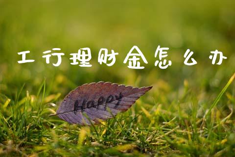 工行理财金怎么办_https://wap.lcpcjs.com_股港行情_第1张