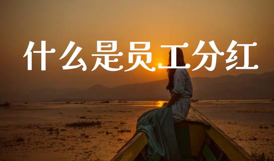 什么是员工分红_https://wap.lcpcjs.com_股港行情_第1张