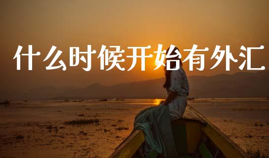 什么时候开始有外汇_https://wap.lcpcjs.com_外汇市场_第1张