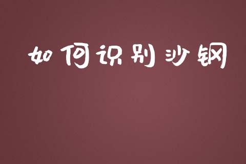 如何识别沙钢_https://wap.lcpcjs.com_外汇市场_第1张