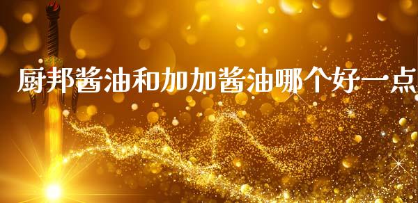 厨邦酱油和加加酱油哪个好一点_https://wap.lcpcjs.com_外汇市场_第1张