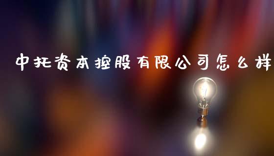 中托资本控股有限公司怎么样_https://wap.lcpcjs.com_股港行情_第1张