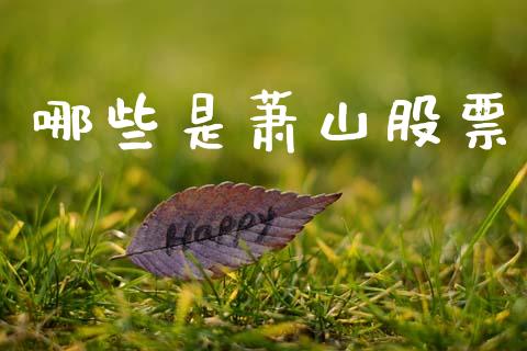 哪些是萧山股票_https://wap.lcpcjs.com_股港行情_第1张