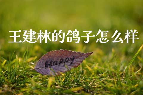 王建林的鸽子怎么样_https://wap.lcpcjs.com_美股行情_第1张