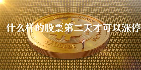 什么样的股票第二天才可以涨停_https://wap.lcpcjs.com_美股行情_第1张