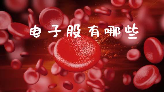 电子股有哪些_https://wap.lcpcjs.com_外汇市场_第1张