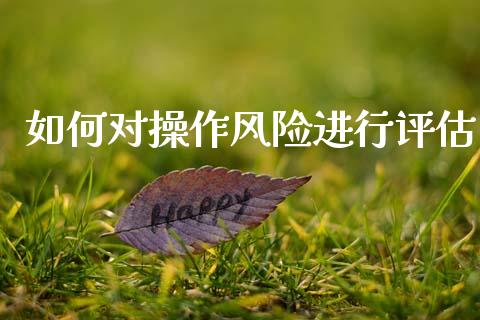 如何对操作风险进行评估_https://wap.lcpcjs.com_外汇市场_第1张