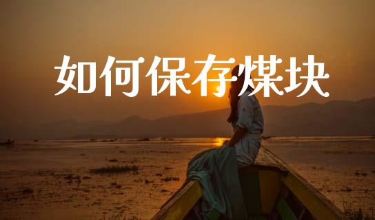 如何保存煤块_全球经济_第1张_全球经济_美股行情_外汇市场_股港行情 如何保存煤块_https://wap.lcpcjs.com_全球经济_第1张