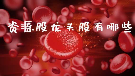 资源股龙头股有哪些_https://wap.lcpcjs.com_全球经济_第1张
