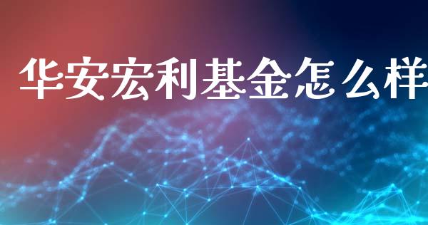 华安宏利基金怎么样_https://wap.lcpcjs.com_美股行情_第1张