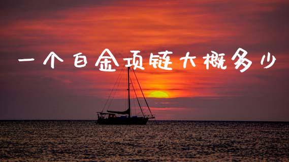一个白金项链大概多少_https://wap.lcpcjs.com_外汇市场_第1张