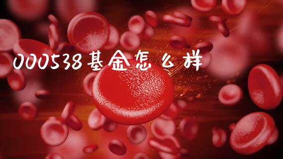 000538基金怎么样_https://wap.lcpcjs.com_美股行情_第1张