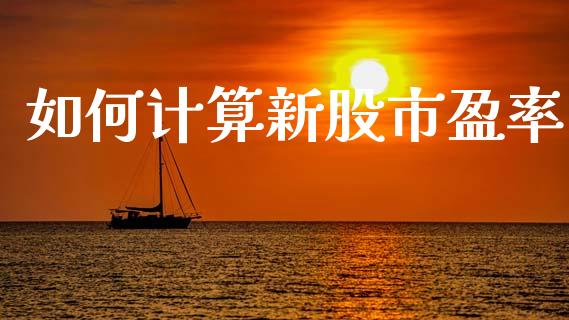 如何计算新股市盈率_https://wap.lcpcjs.com_股港行情_第1张