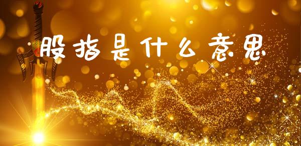 股指是什么意思_https://wap.lcpcjs.com_全球经济_第1张