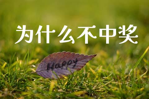 为什么不中奖_https://wap.lcpcjs.com_股港行情_第1张