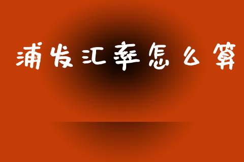 浦发汇率怎么算_https://wap.lcpcjs.com_外汇市场_第1张