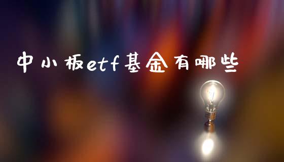 中小板etf基金有哪些_https://wap.lcpcjs.com_全球经济_第1张