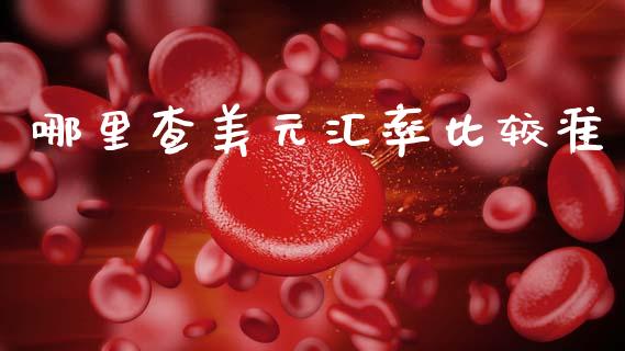 哪里查美元汇率比较准_https://wap.lcpcjs.com_股港行情_第1张