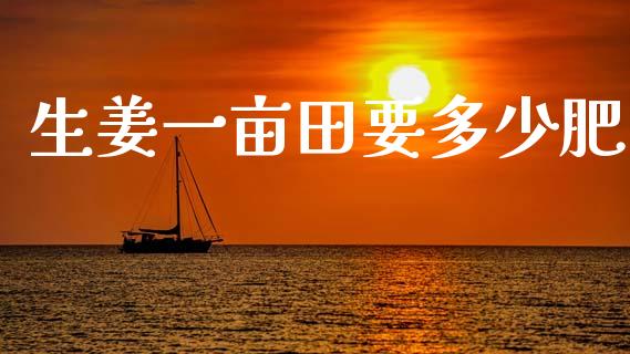 生姜一亩田要多少肥_https://wap.lcpcjs.com_美股行情_第1张