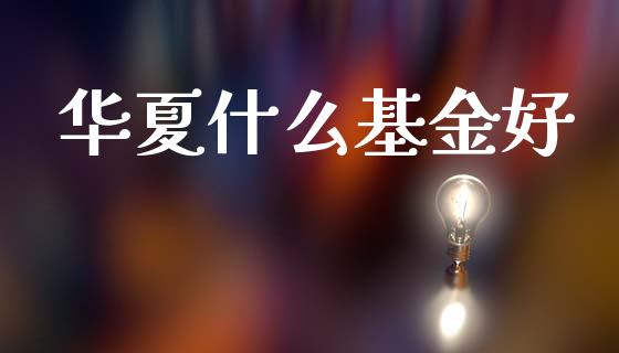 华夏什么基金好_https://wap.lcpcjs.com_美股行情_第1张