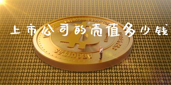 上市公司的壳值多少钱_https://wap.lcpcjs.com_全球经济_第1张